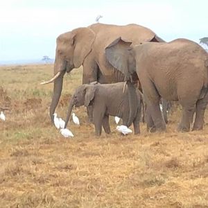 Meet your Posher, Barbara